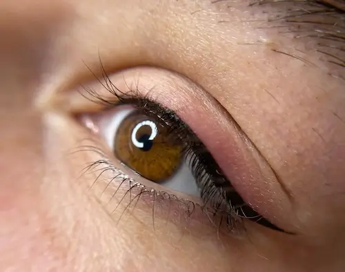 micropigmentacion Primer plano del ojo de una persona con iris marrón, sombra rosa y delineador negro. Las largas pestañas son impactantes, mientras que la ceja sugiere indicios de micropigmentación experta. La complejidad de estos ojos se despliega con belleza en el borde de la imagen. Monica Aranguez