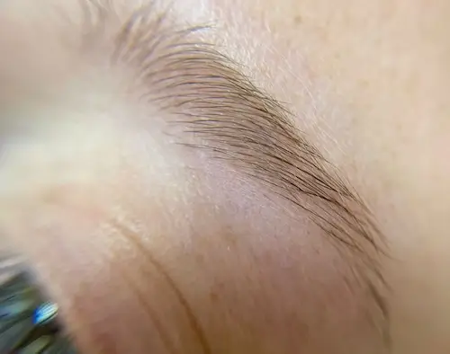 micropigmentacion Una vista de cerca de una ceja bien cuidada sobre una piel suave y clara, que muestra detalles finos del cabello y la textura de la piel después de la micropigmentación en cejas. Monica Aranguez