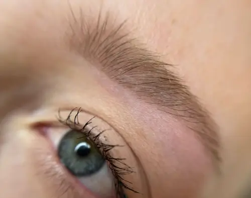 micropigmentacion Un primer plano del ojo y la ceja de color azul verdoso de una persona, que muestra pelos de las cejas definidos y pestañas naturales, con una piel suave y clara, que resalta perfectamente los resultados de la micropigmentación en cejas. Monica Aranguez