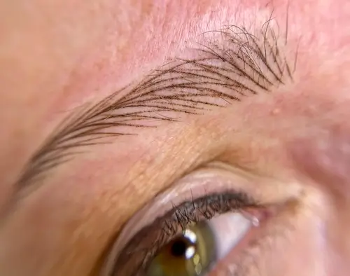 micropigmentacion Primer plano de un ojo que resalta las cejas, con detalles intrincados. La ceja luce un efecto de micropigmentación, con trazos individuales que imitan el cabello y parecen naturales. La piel circundante es clara y el ojo revela parcialmente un iris marrón verdoso. Monica Aranguez