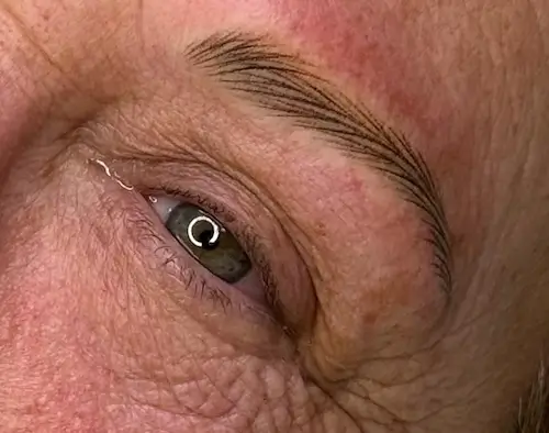 micropigmentacion Primer plano del ojo y la ceja de una persona mayor, que resalta la textura detallada de la piel, las arrugas y los vellos finos de las cejas. El ojo está abierto, mirando hacia arriba, con un ligero reflejo en la pupila, ideal para resaltar los resultados de la micropigmentación de cejas. Monica Aranguez