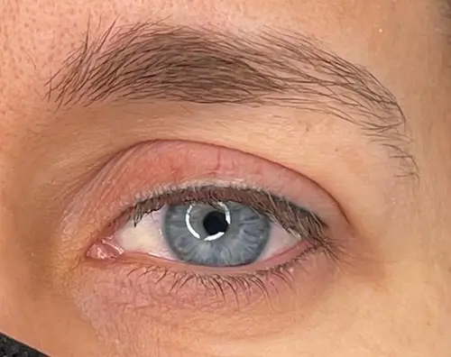 micropigmentacion Primer plano de un ojo azul de piel clara, con micropigmentación en una ceja bien cuidada y pestañas largas. La pupila refleja una fuente de luz circular. El ojo luce natural y saludable. Monica Aranguez