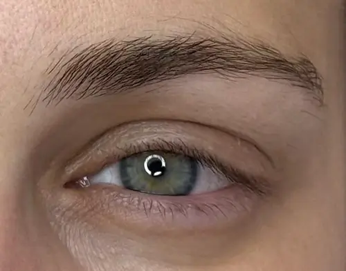 micropigmentacion Un primer plano de un ojo humano con un iris azul verdoso y una ceja bien cuidada, resaltando la textura fina de la piel y los detalles de las pestañas y los pelos de las cejas después de la micropigmentación en cejas. Monica Aranguez