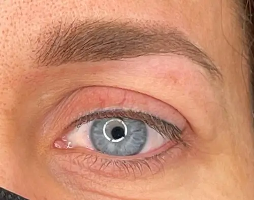 micropigmentacion Primer plano de un ojo azul con micropigmentación en las cejas, con una ceja arqueada y bien cuidada, y un maquillaje sutil. La piel del contorno del ojo se ve suave y ligeramente enrojecida, con un ligero reflejo visible en la pupila. Monica Aranguez