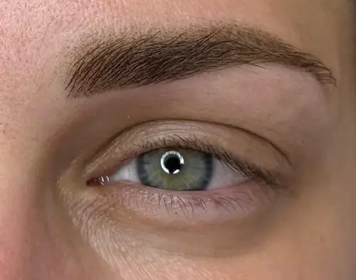 micropigmentacion Primer plano de un ojo gris verdoso con ceja definida, textura de piel natural y pestañas visibles, resaltando los patrones detallados del iris y la precisión de la micropigmentación en cejas. Monica Aranguez