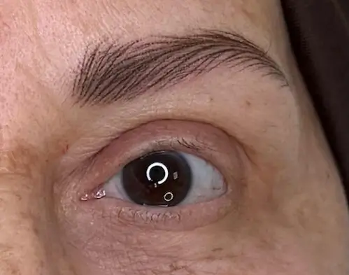 micropigmentacion Un primer plano de un ojo con micropigmentación detallada en cejas, que muestra trazos finos similares a cabellos por encima de la línea natural de las cejas sobre una piel clara y con textura. Monica Aranguez