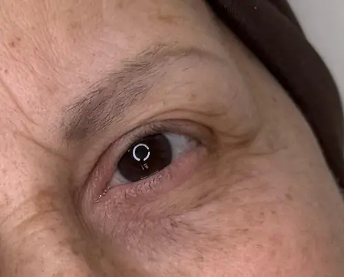 micropigmentacion Primer plano del ojo y la parte superior de la mejilla de una persona mayor, mostrando arrugas, cejas ralas y algunas manchas de la edad. La persona lleva un velo marrón, lo que le da un aspecto natural ideal para la micropigmentación de cejas. Monica Aranguez