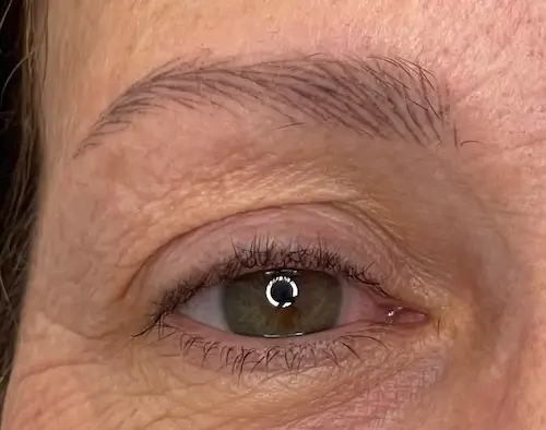 micropigmentacion Primer plano del ojo verde de una persona mayor con líneas finas alrededor del párpado y una ceja poco poblada. Los pelos finos y claros de la ceja resaltan cómo la micropigmentación de cejas podría realzar su volumen y definición. Monica Aranguez