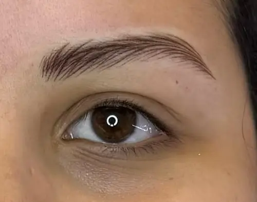 micropigmentacion Primer plano del ojo y la ceja marrones de una persona, con pelos bien definidos y bien cuidados. La piel es de tono claro a medio, y la ceja parece recién delineada, probablemente después de una micropigmentación de cejas u otro tratamiento cosmético. Monica Aranguez