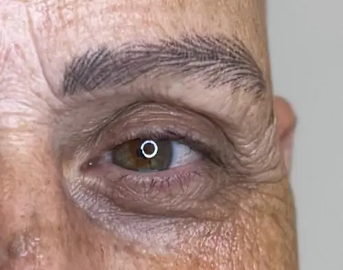 micropigmentacion Primer plano del ojo derecho de una persona mayor con iris marrón, arrugas visibles y piel texturizada. La ceja oscura y arqueada parece realzada por la micropigmentación de cejas, con un reflejo circular en el centro de la pupila. Monica Aranguez