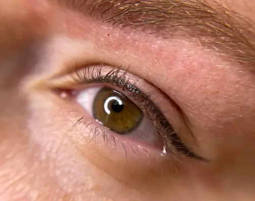 micropigmentacion Primer plano de un ojo color avellana con pestañas largas y cejas color marrón claro, que muestra una textura de piel detallada y reflejos de luz: inspiración perfecta para la micropigmentación en ojos. Monica Aranguez