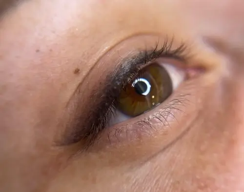 micropigmentacion Primer plano del ojo marrón de una persona, que muestra detalles de las pestañas, el párpado y la textura de la piel. Se aprecian sutiles resultados de la micropigmentación ocular sobre el párpado, junto con un pequeño lunar y un reflejo de luz circular en el ojo. Monica Aranguez