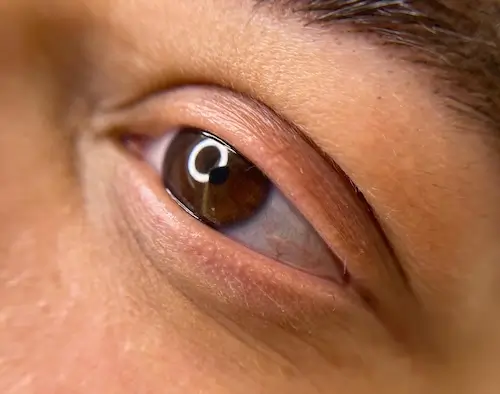 micropigmentacion Primer plano del ojo de una persona con iris marrón, que muestra el párpado superior, las pestañas y parte de la ceja. Ideal para resaltar los resultados de la micropigmentación ocular. La iluminación resalta la textura de la piel alrededor del ojo. Monica Aranguez