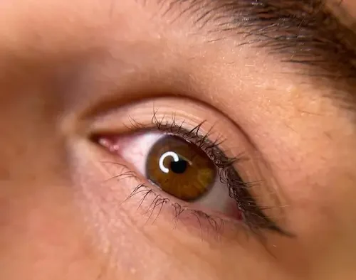 micropigmentacion Primer plano de un ojo humano marrón, con pestañas visibles y parte de la ceja. La piel es clara, con un reflejo en la superficie del ojo, ideal para realzar los resultados de la micropigmentación ocular. Monica Aranguez