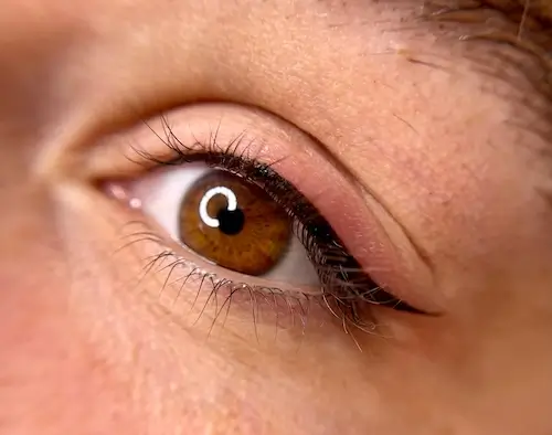 micropigmentacion Primer plano de un ojo marrón con pestañas largas, reflejo claro de una fuente de luz en la pupila y piel suave y ligeramente rosada: un ejemplo ideal para mostrar los resultados de la micropigmentación en ojos. Monica Aranguez