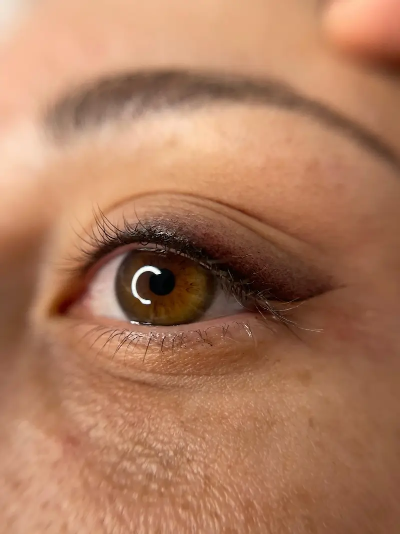 micropigmentacion Primer plano del ojo de una persona con iris marrón claro y maquillaje natural. Una sombra de ojos suave y una máscara de pestañas realzan las pestañas superiores, complementadas con una ceja bien definida. La textura visible de la piel muestra una apariencia natural, sutilmente realzada por la micropigmentación terapéutica. Monica Aranguez